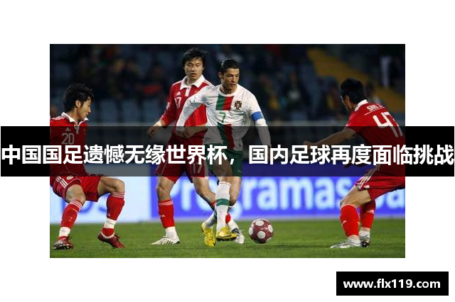 中国国足遗憾无缘世界杯，国内足球再度面临挑战